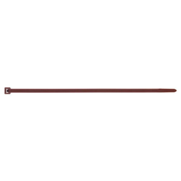 Bridas de nylon colores - marrón  medida   2 5 x 1