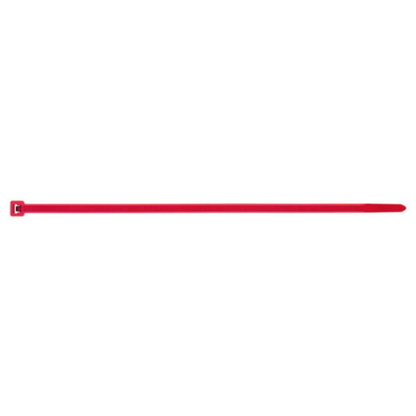 Bridas de nylon colores - rojo  medida   2 5 x 100